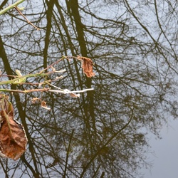 2018-04-14 Copenhagen/Utterslev Mose/DSC_0085.JPG